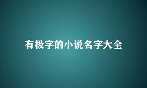 有极字的小说名字大全