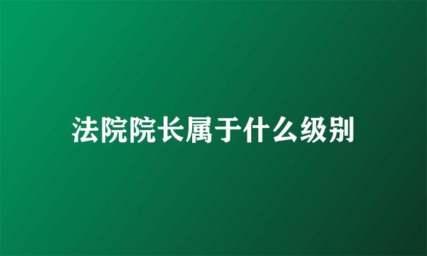 法院院长属于什么级别