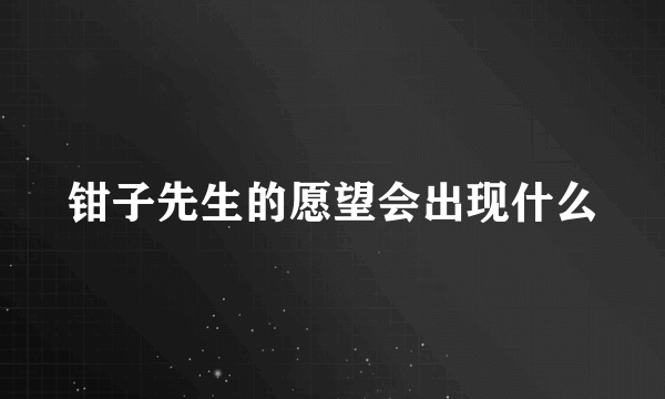 钳子先生的愿望会出现什么