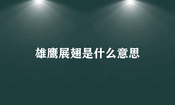 雄鹰展翅是什么意思