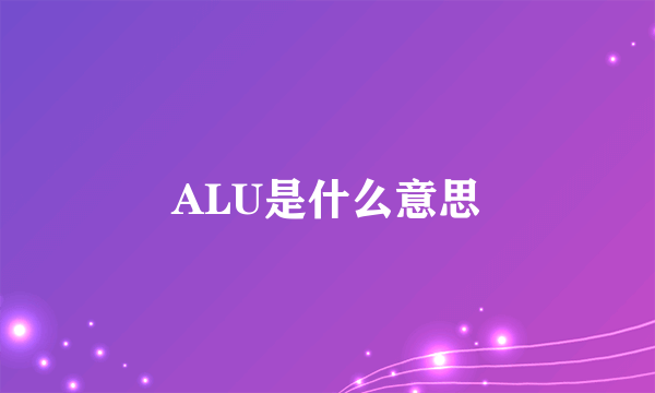 ALU是什么意思