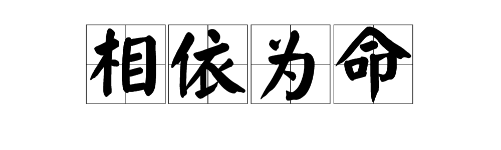 “相依为命”是什么意思？