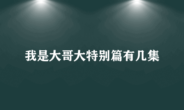 我是大哥大特别篇有几集