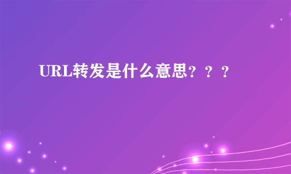 URL转发是什么意思？？？