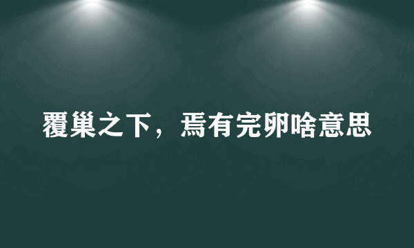 覆巢之下，焉有完卵啥意思