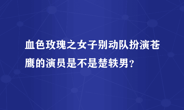 血色玫瑰之女子别动队扮演苍鹰的演员是不是楚轶男？