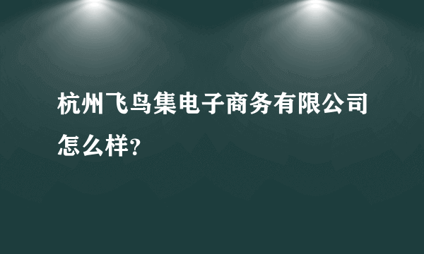 杭州飞鸟集电子商务有限公司怎么样？