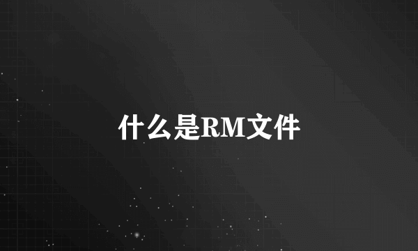 什么是RM文件