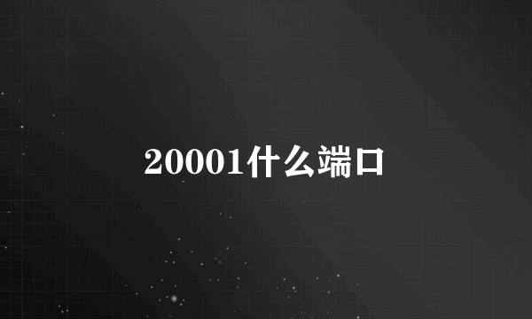 20001什么端口