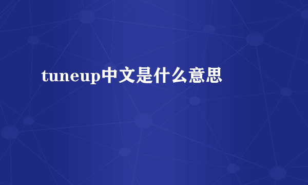 tuneup中文是什么意思