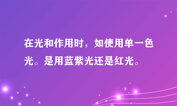 在光和作用时，如使用单一色光。是用蓝紫光还是红光。