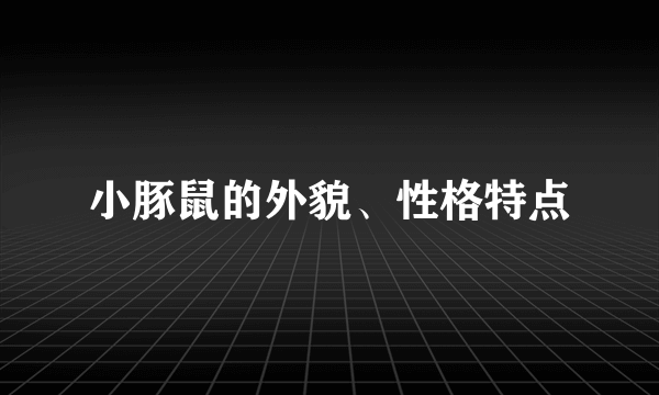 小豚鼠的外貌、性格特点