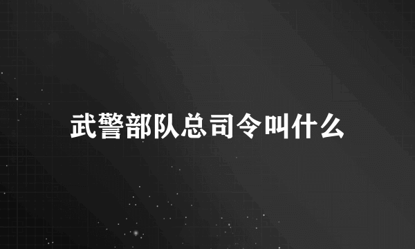 武警部队总司令叫什么