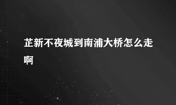 芷新不夜城到南浦大桥怎么走啊