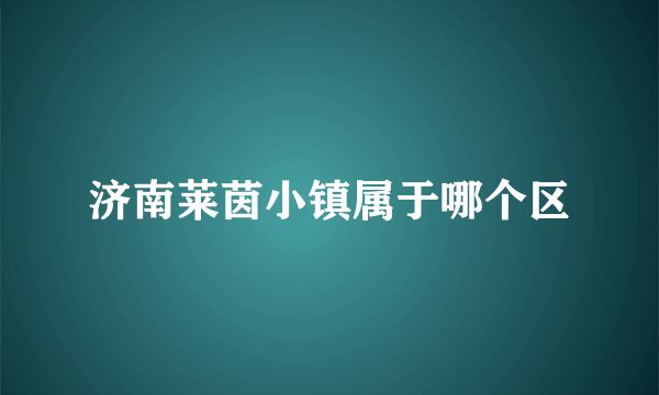 济南莱茵小镇属于哪个区