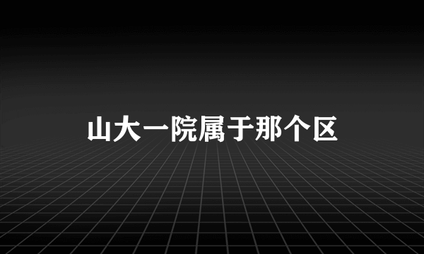 山大一院属于那个区