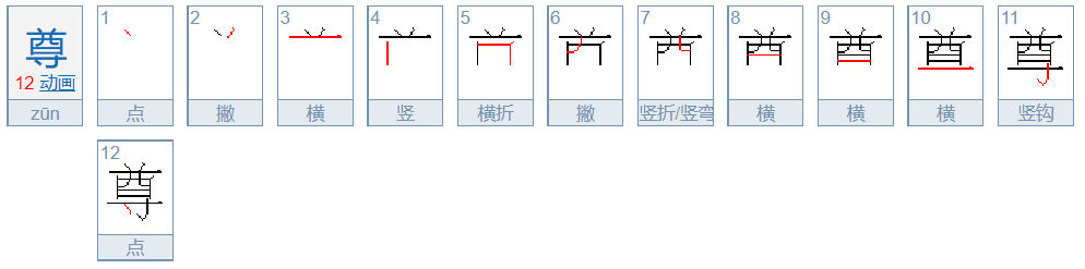 尊的笔画顺序怎么写