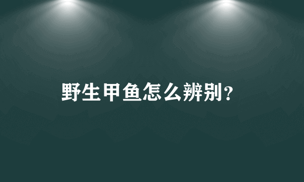 野生甲鱼怎么辨别？