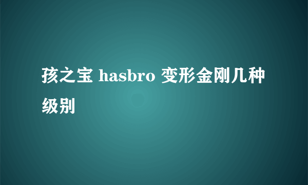 孩之宝 hasbro 变形金刚几种级别