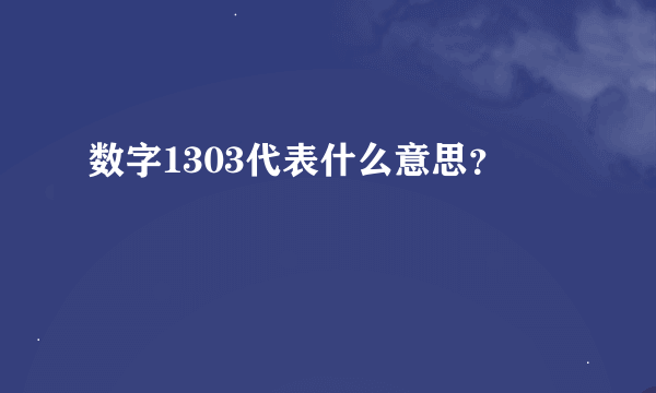 数字1303代表什么意思？