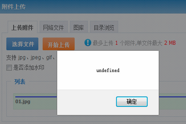 undefined是什么意思啊