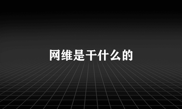 网维是干什么的