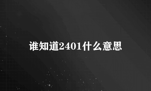 谁知道2401什么意思