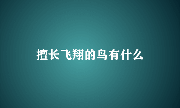 擅长飞翔的鸟有什么