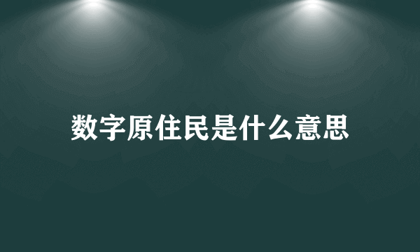 数字原住民是什么意思