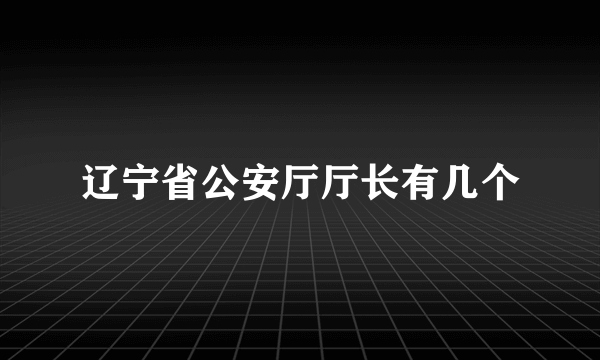 辽宁省公安厅厅长有几个