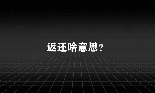 返还啥意思？