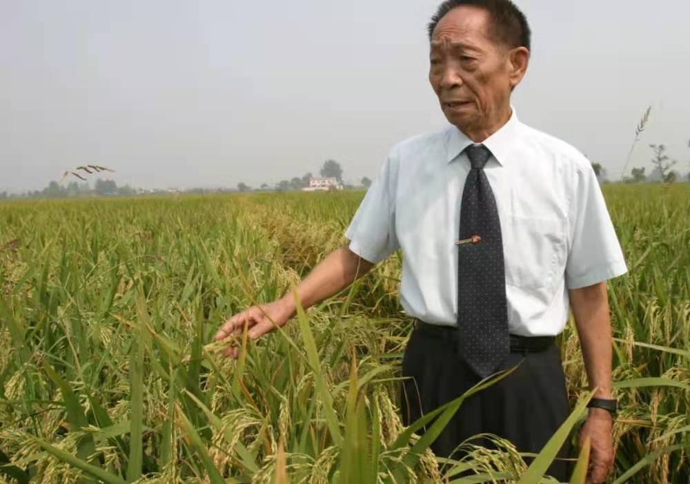 夫人坐轮椅泪别袁隆平，两个人的感情究竟有多么深厚？