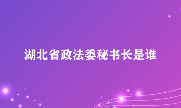 湖北省政法委秘书长是谁