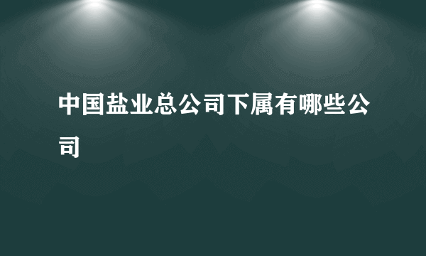 中国盐业总公司下属有哪些公司