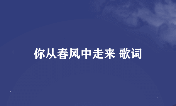 你从春风中走来 歌词