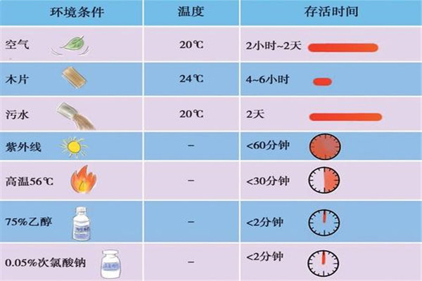 体外情况下，病毒一般可以存活多久？