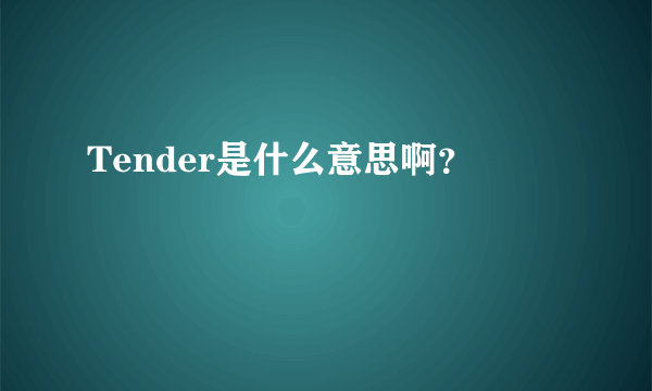 Tender是什么意思啊？