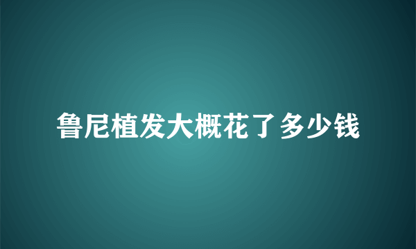 鲁尼植发大概花了多少钱