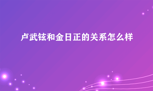 卢武铉和金日正的关系怎么样