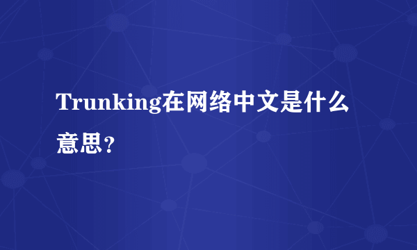 Trunking在网络中文是什么意思？