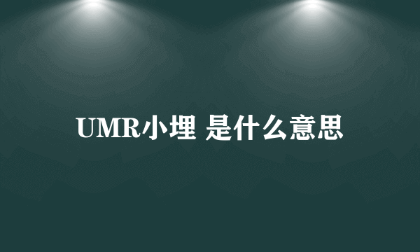 UMR小埋 是什么意思