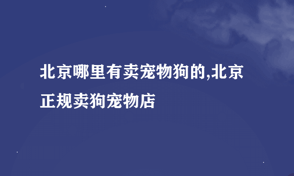 北京哪里有卖宠物狗的,北京正规卖狗宠物店