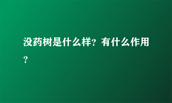 没药树是什么样？有什么作用？