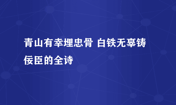 青山有幸埋忠骨 白铁无辜铸佞臣的全诗