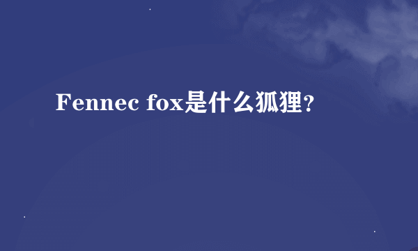 Fennec fox是什么狐狸？