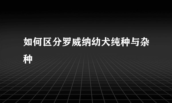 如何区分罗威纳幼犬纯种与杂种