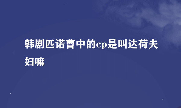 韩剧匹诺曹中的cp是叫达荷夫妇嘛