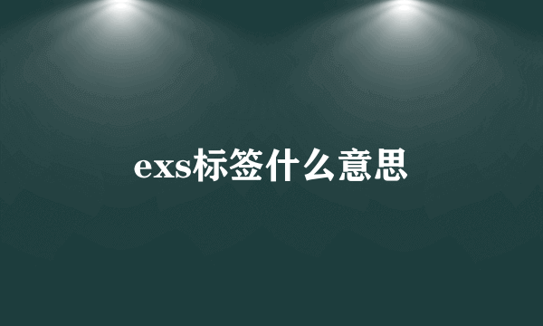 exs标签什么意思