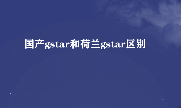 国产gstar和荷兰gstar区别