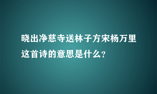 晓出净慈寺送林子方宋杨万里这首诗的意思是什么？